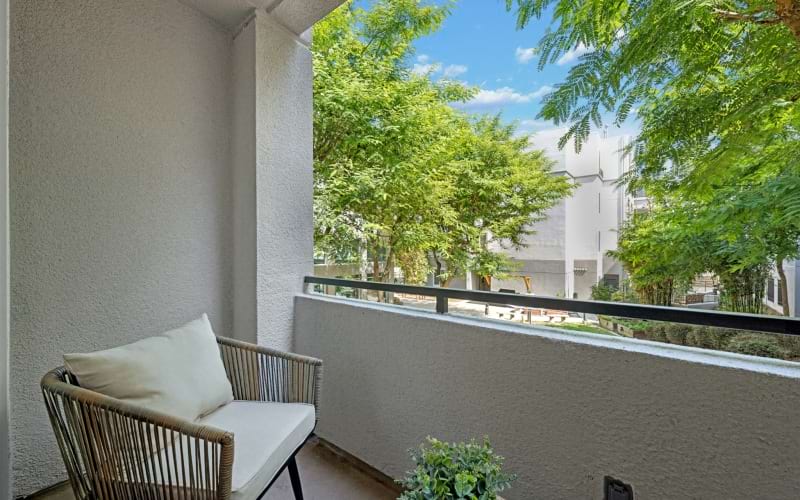 Apartment Amenities